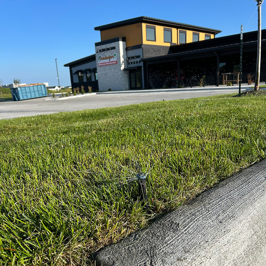 new grass and sprinkler system outside a restaurant